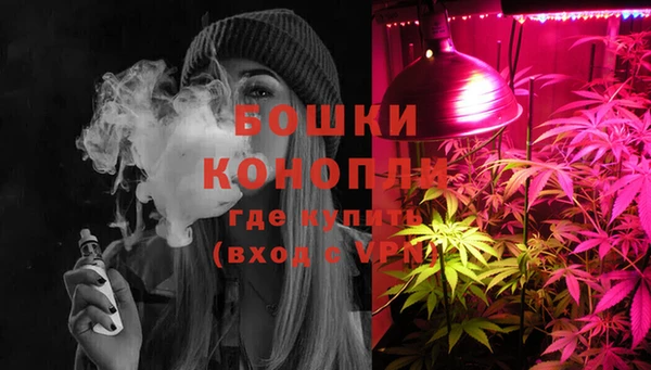 сатива Белоозёрский