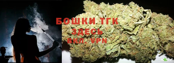 сатива Белоозёрский